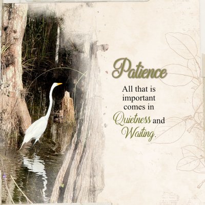 Words of Wisdom and Random Advice-Patience.jpeg