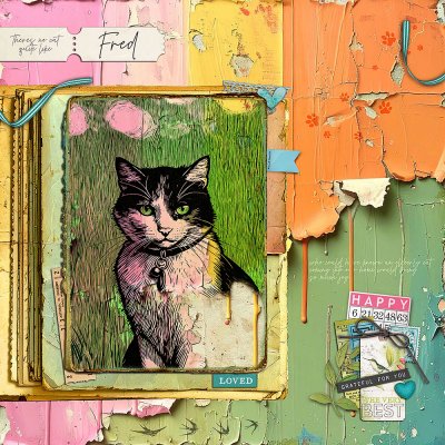 No cat quite like Fred