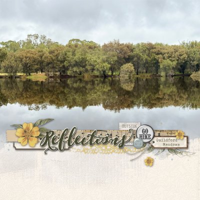 Reflections