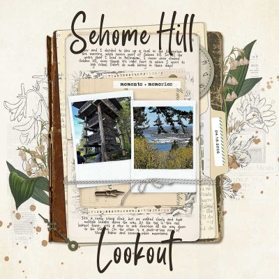 2026-04-18 Sehome Hill Lookout