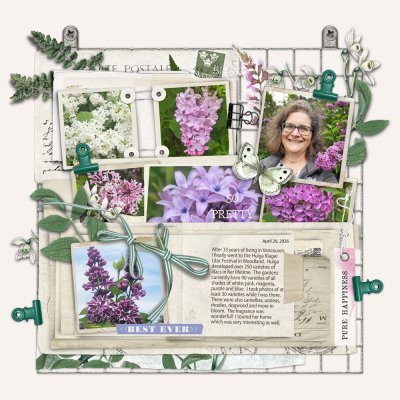 Lilac Festival