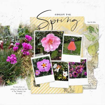 2026-04-20 Spring flowers on the coast