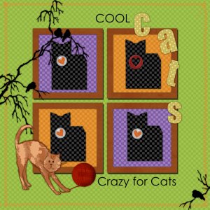 Crazy for Cats