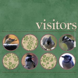 Visitors