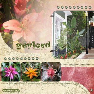 Gaylord Flowers