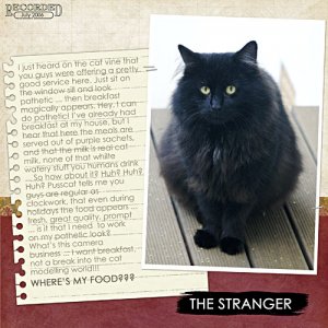 The Stranger ...