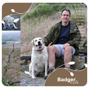 Badger with You