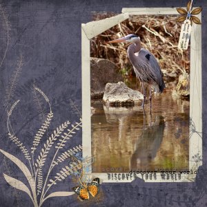 Great-Blue-Heron