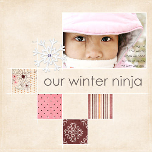 • winter ninja •