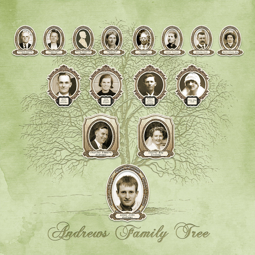 Andrews Family Tree