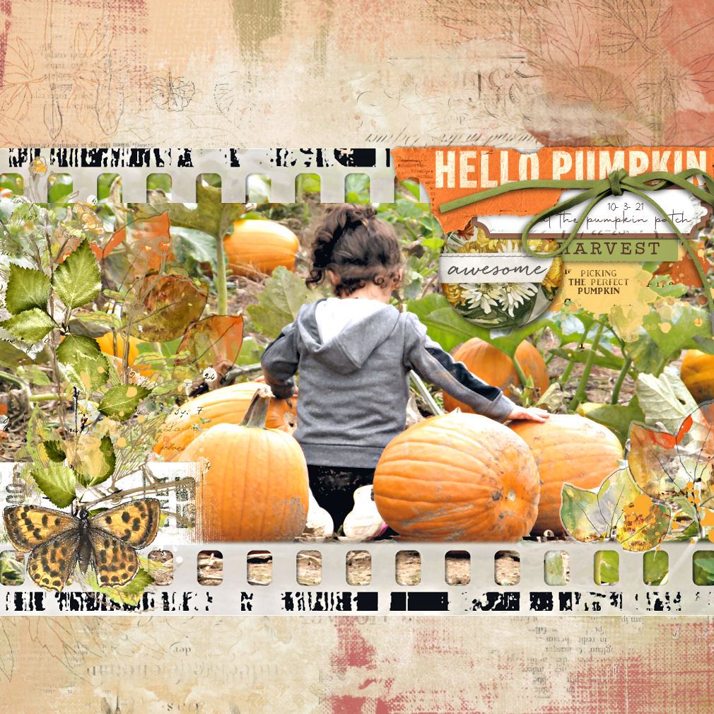AT THE PUMPKIN PATCH
