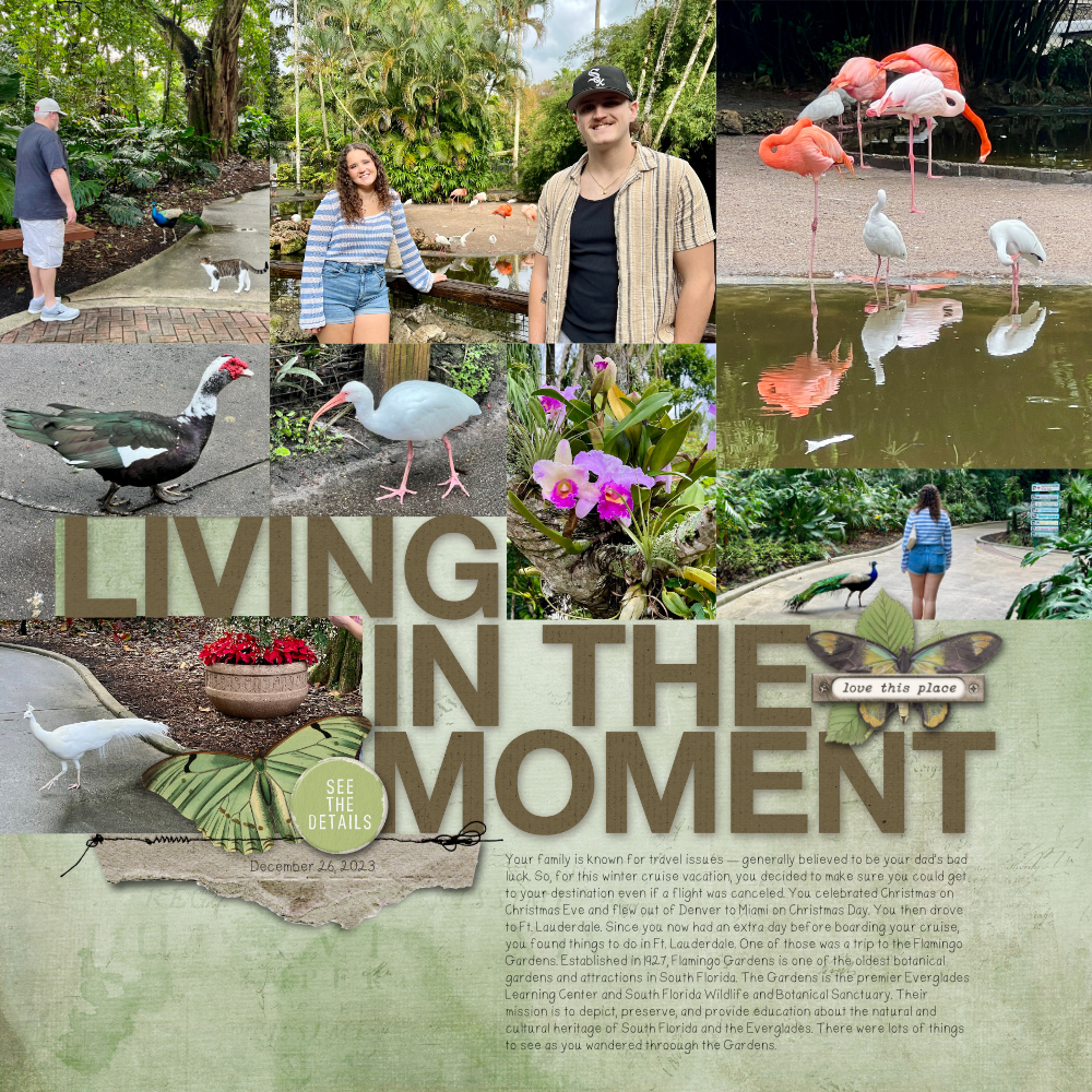 Flamingo Gardens-In the Moment.jpeg