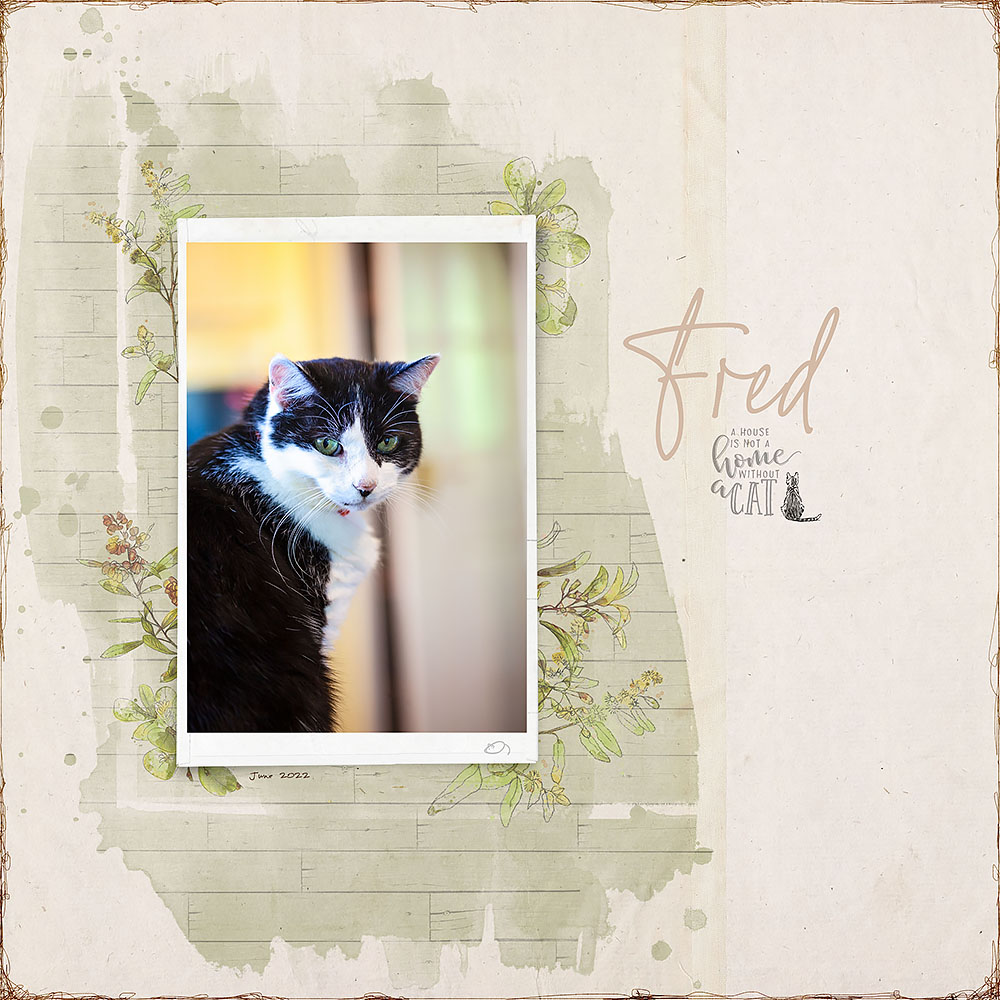 Fred  :)