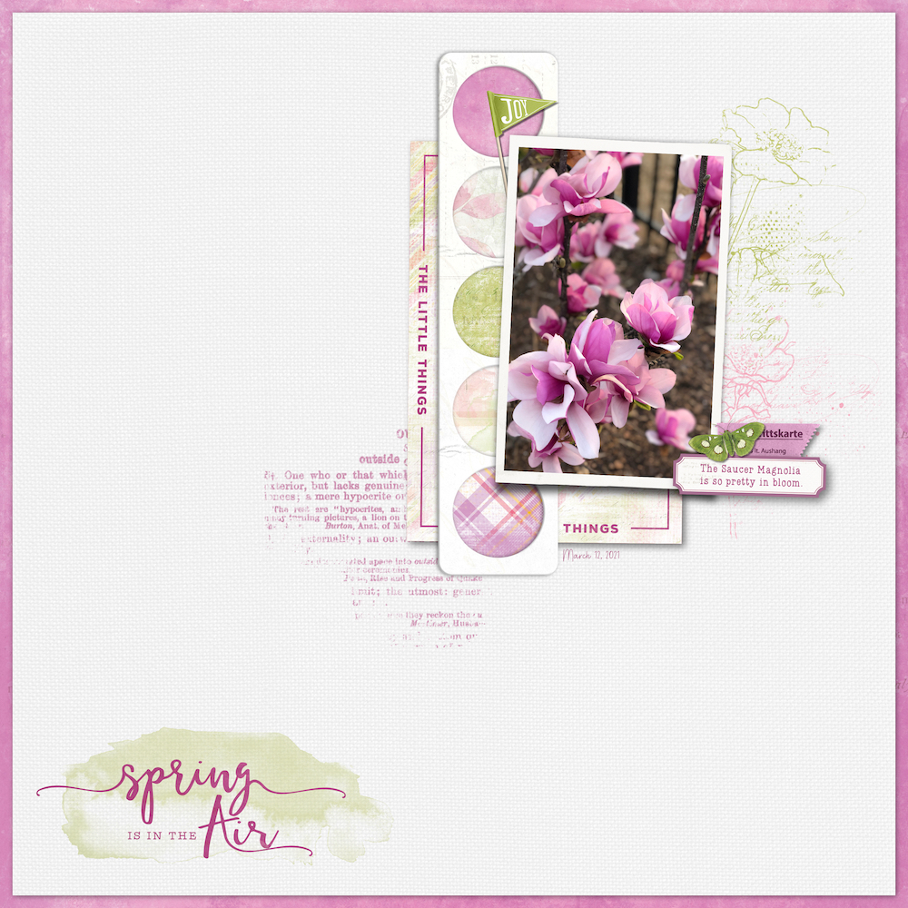 March Scraplift Chain - Magnolia Blooms