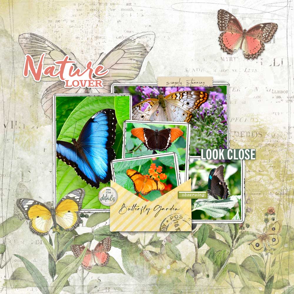 Nature Lover-Butterfly Garden