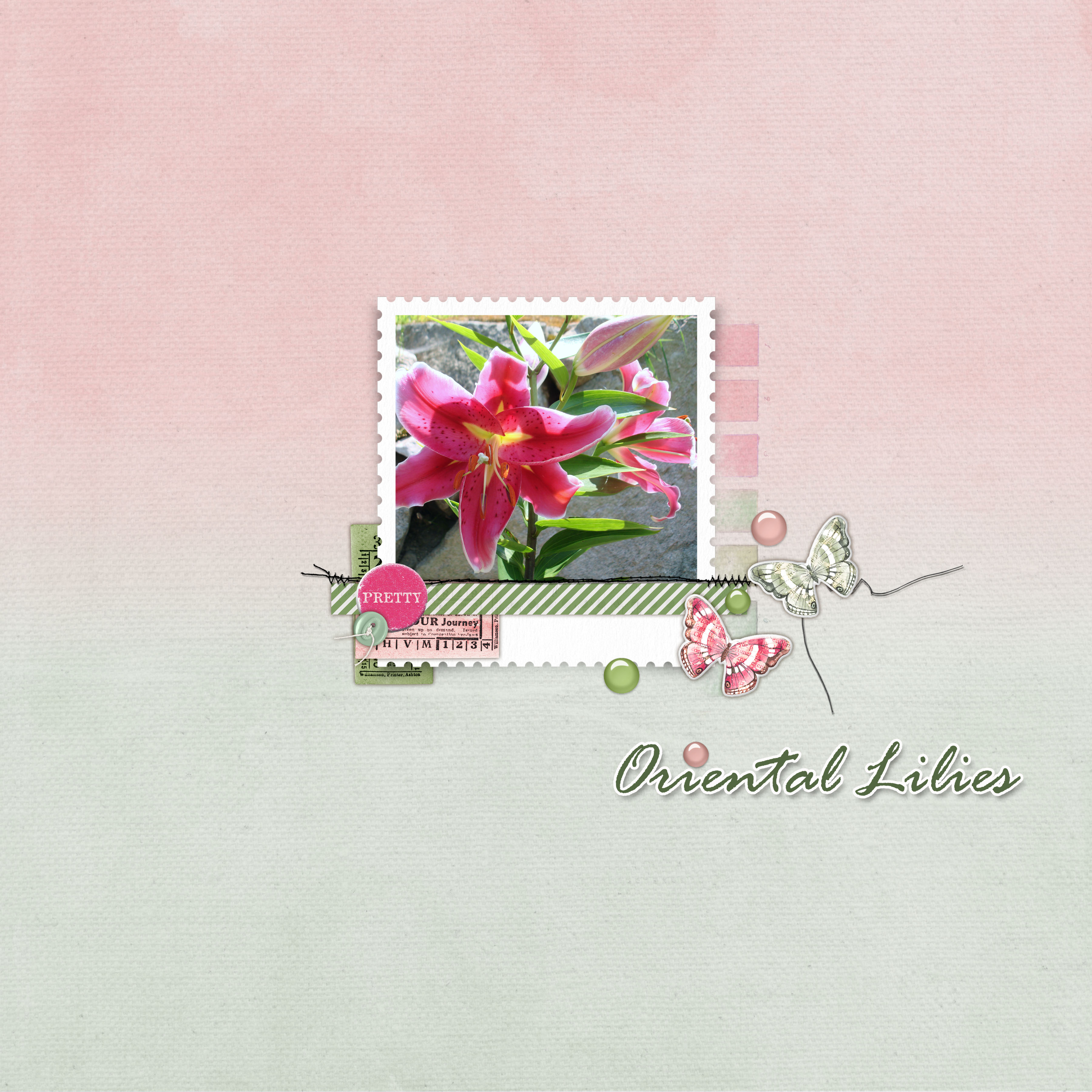 Oriental Lilies 2020