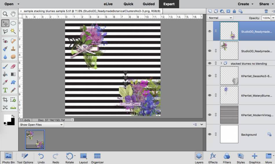 screen shots for watery blumes challenge
