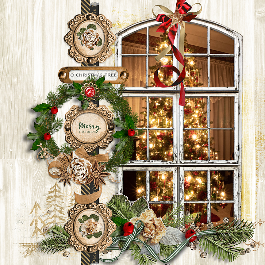 Through the window_Christmas Tree