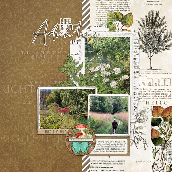 Katie Pertiet Designs Scrapbook Page