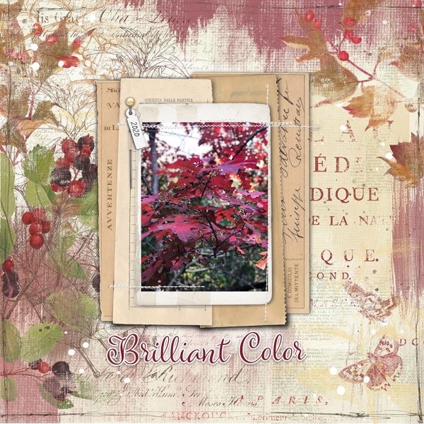 Katie Pertiet Designs Digital Scrapbooking