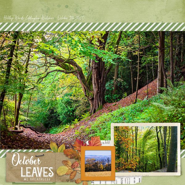 Katie Pertiet Designs Scrapbooking