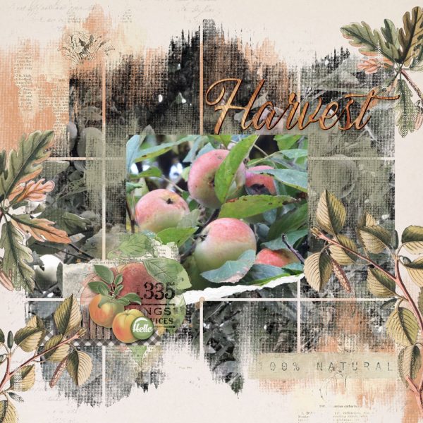 Katie Pertiet Designs Digital Scrapbooking