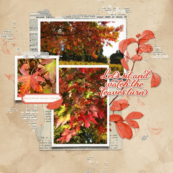 Katie Pertiet Designs Digital Scrapbooking