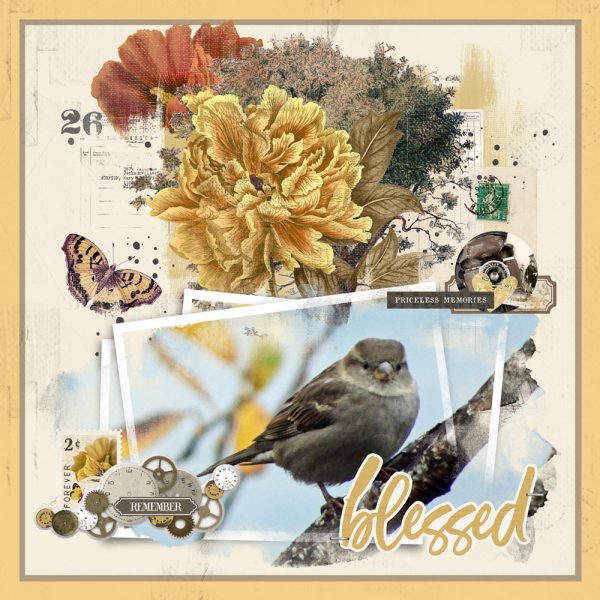 Katie Pertiet Digital Scrapbooking