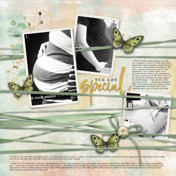 Katie Pertiet Designs Scrapbook Page Layout