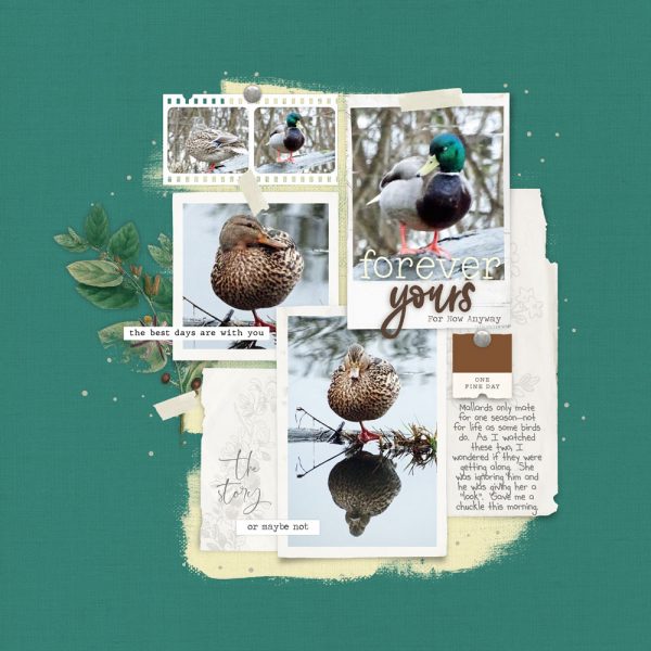 Katie Pertiet Designs Scrapbook Page Layout