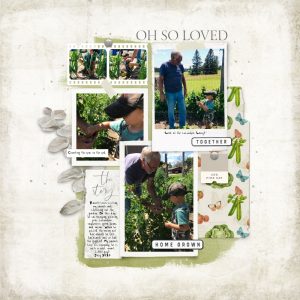 Katie Pertiet Designs Scrapbook Page Layout