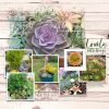 Katie Pertiet Designs Scrapbook Page Layout