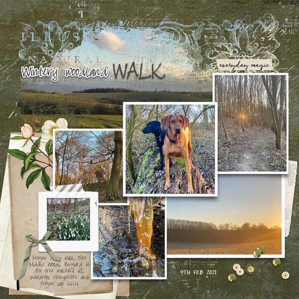 Katie Pertiet Designs Scrapbook Page Layout