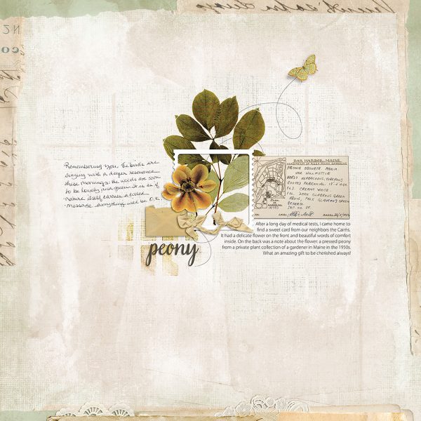 Katie Pertiet Designs Scrapbook Page Layout