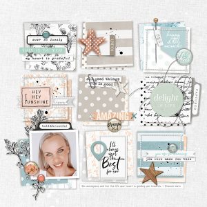 Katie Pertiet Designs Scrapbook Page Layout