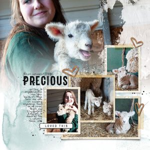 Katie Pertiet Designs Scrapbook Page Layout