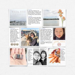 Katie Pertiet Designs Scrapbook Page Layout