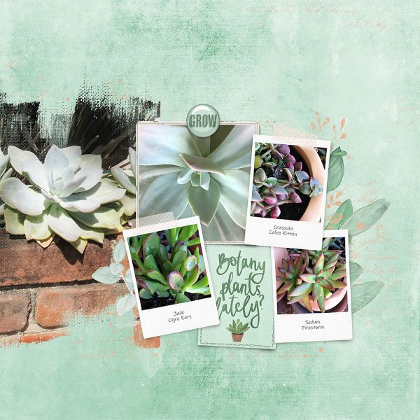 Katie Pertiet Designs Scrapbook Page Layout