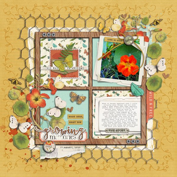 Katie Pertiet Designs Digital Scrapbooking