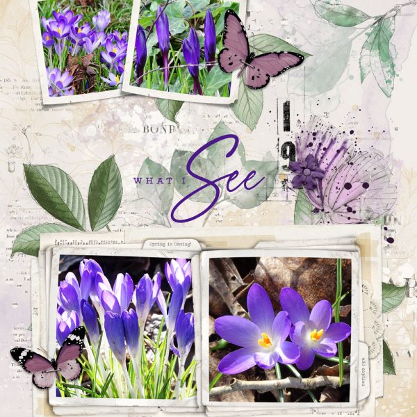 Katie Pertiet Designs Scrapbook Page Layout