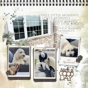 Katie Pertiet Designs Digital Scrapbooking