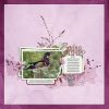 Katie Pertiet Designs Scrapbook Layout