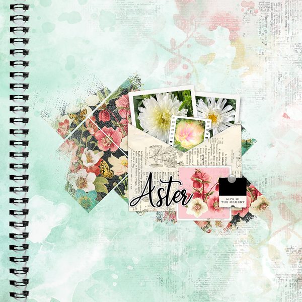 Katie Pertiet Designs Scrapbook Page Layout