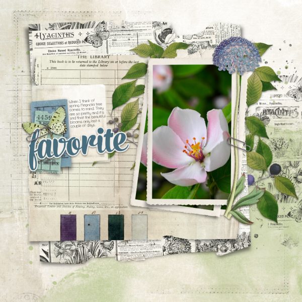 katie pertiet designs digital scrapbooking