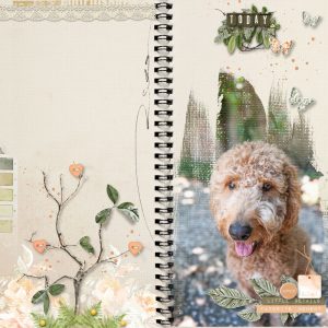 Katie Pertiet Designs Digital Scrapbooking