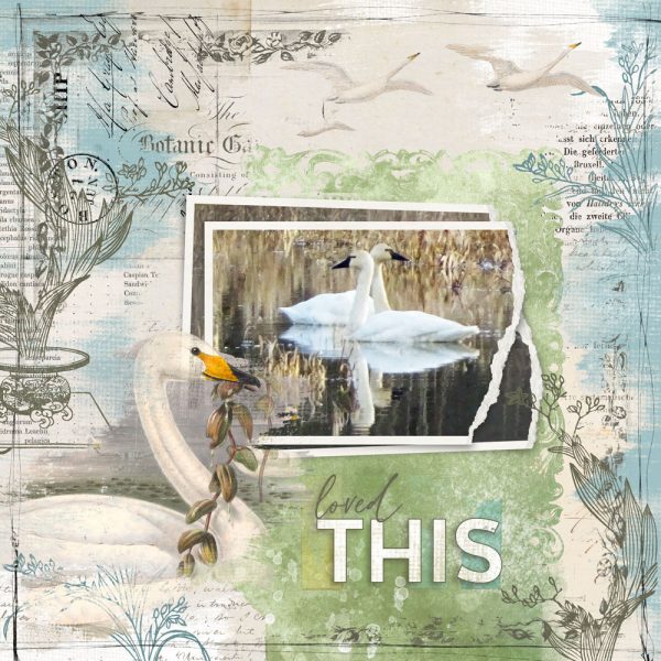 Katie Pertiet Designs Digital Scrapbooking