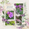 Katie Pertiet Designs Digital Scrapbooking