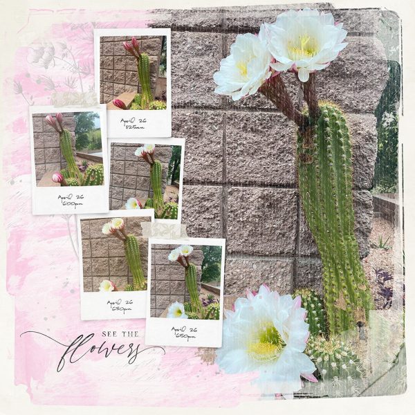 Katie Pertiet Designs Digital Scrapbooking