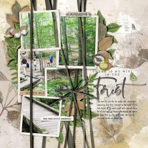 Katie Pertiet Designs Digital Scrapbooking