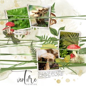 Katie Pertiet Designs Digital Scrapbooking